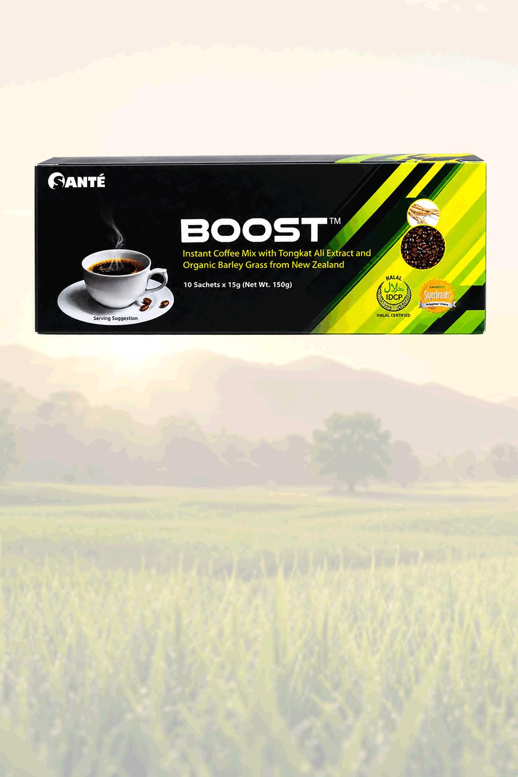 Boost Coffee (15gms x 10 sachets)